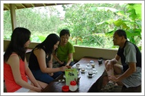 Bali Coffee Agrotourism